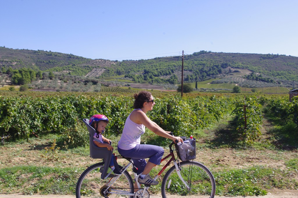 Cycling & Wine-tasting in Nemea