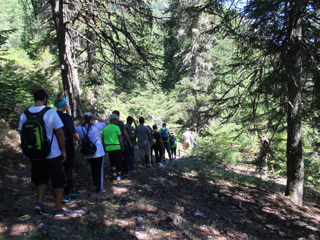 Hiking Corinthia Flambouritsa