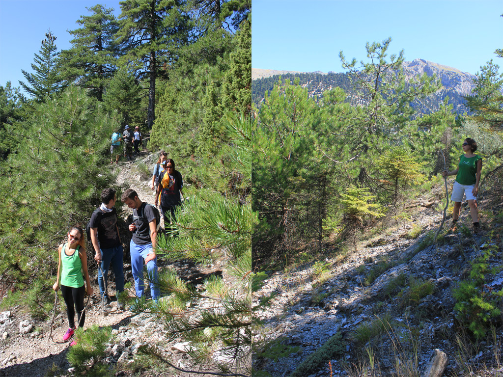 Hiking Corinthia Flambouritsa