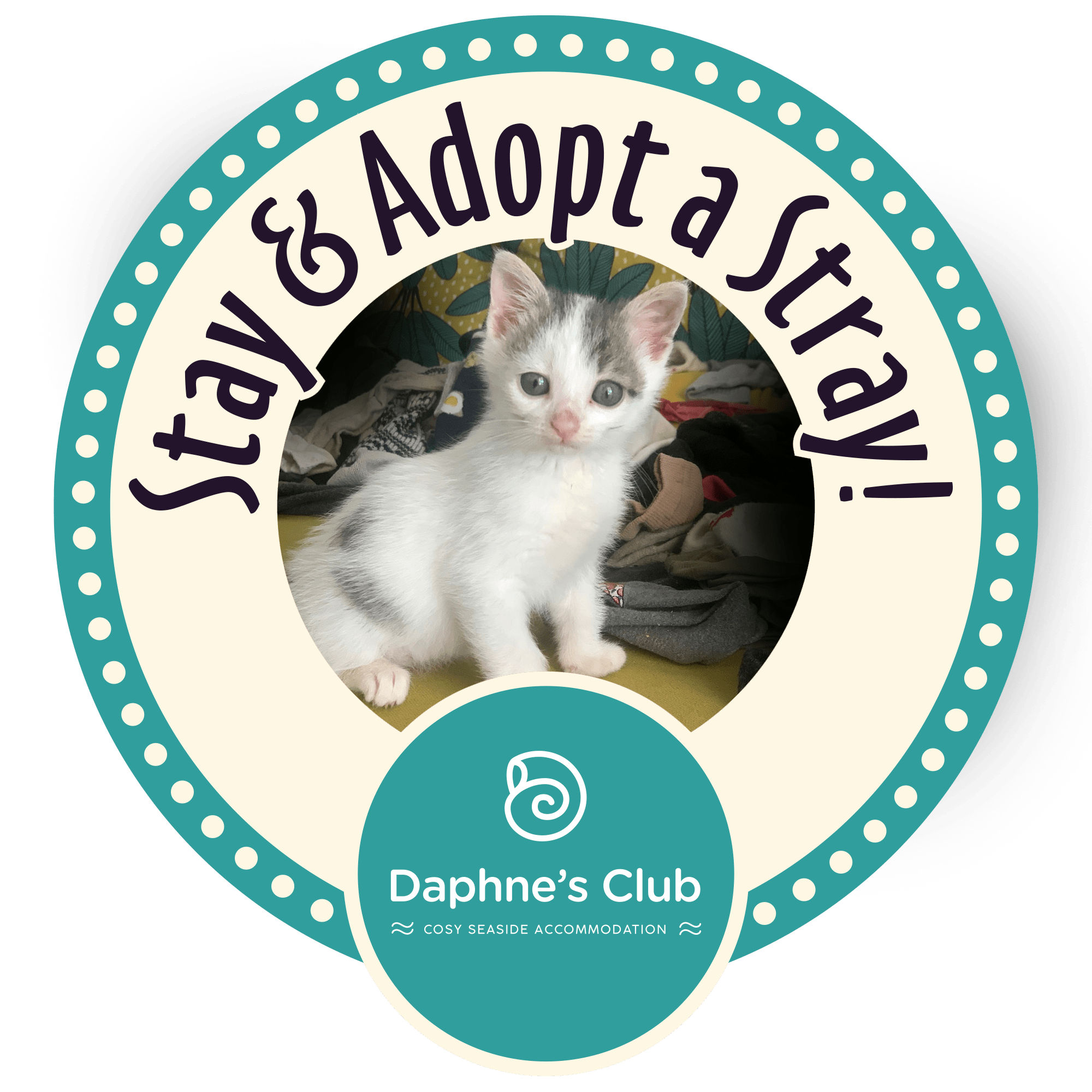 Stay and adopt a stray