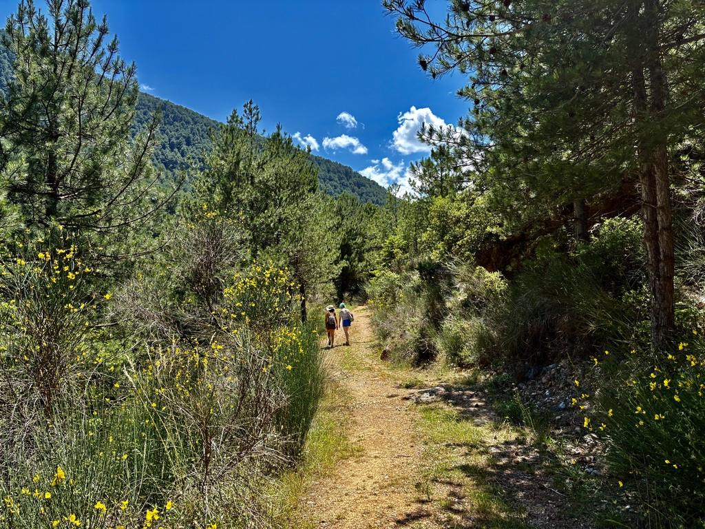 The footpath leading from our parking spot to the waterfall.